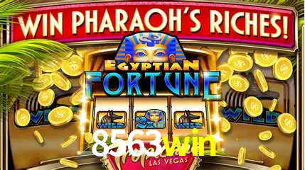 8563win