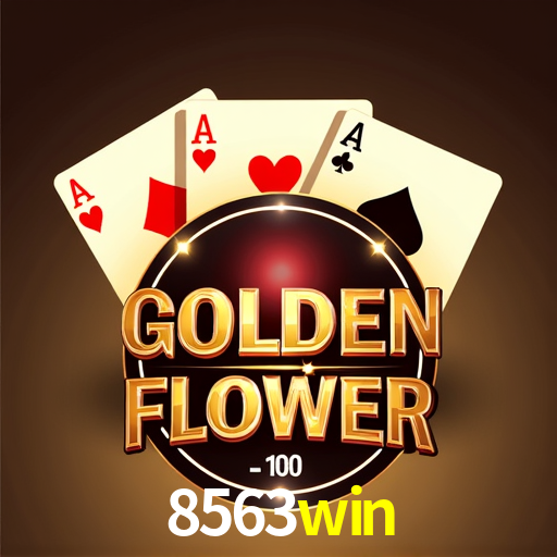 8563win